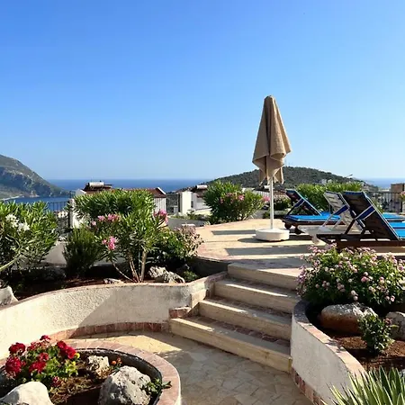 Viola Apart - Kalkan
